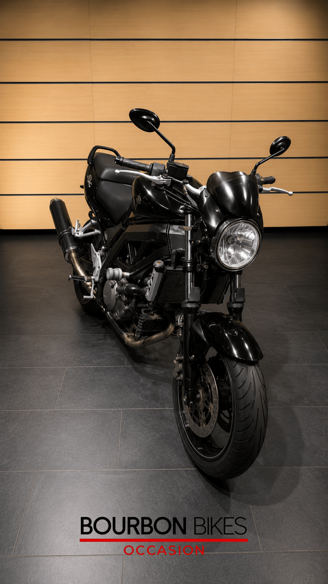 SUZUKI SV 650 